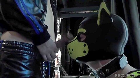 Puppy Boy Player