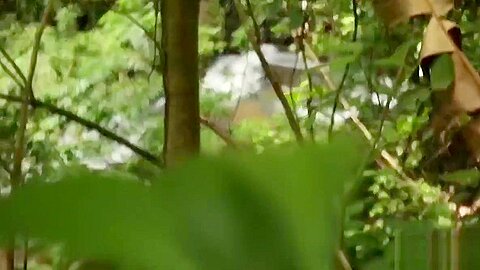 Luke Adams and Colton Grey cope with surviving the jungle