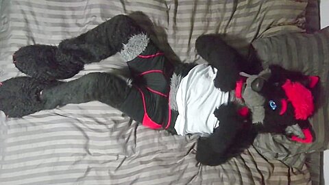 Sexy Fursuit Stripping