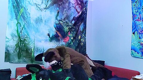 Sheppie Bangs A Bunny And Makes Him Cum Fursuit Yiff