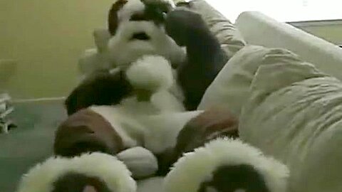fursuit pawing off making nose