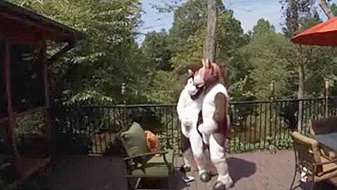 Horsin around