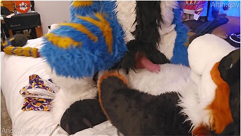 Big Dog Teaches The Little Kitty How To Sit #knot #knotfucking